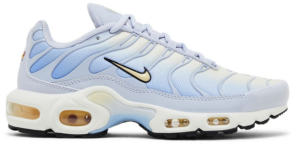 Nike Air Max Plus Daybreak (W)