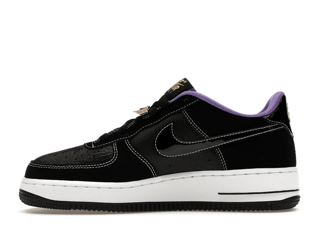 Nike Air Force 1 Low '07 LV8 World Champ Black Purple (GS)